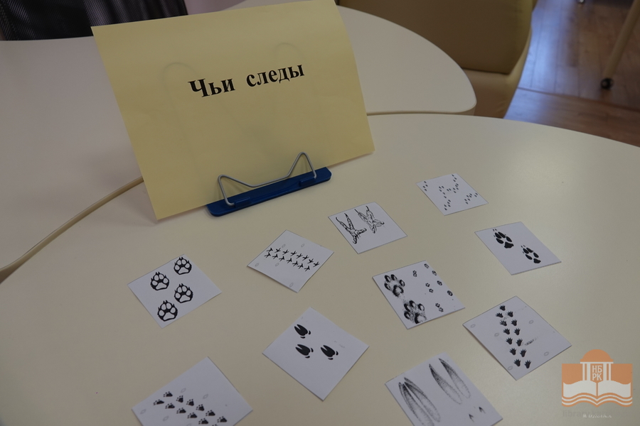 Просветительская программа «Планета чудес Николая Сладкова»