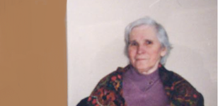 ����������� ���� ��������