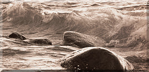 ������ ��������� ������